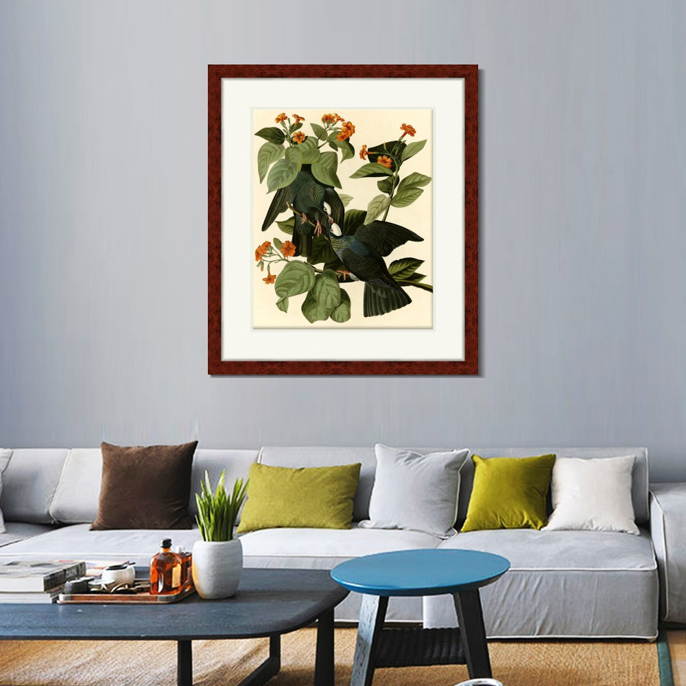 INVIN ART Framed Canvas Art Giclee Print Series#081 by John James Audubon  Home Office Wall Art Decorations
