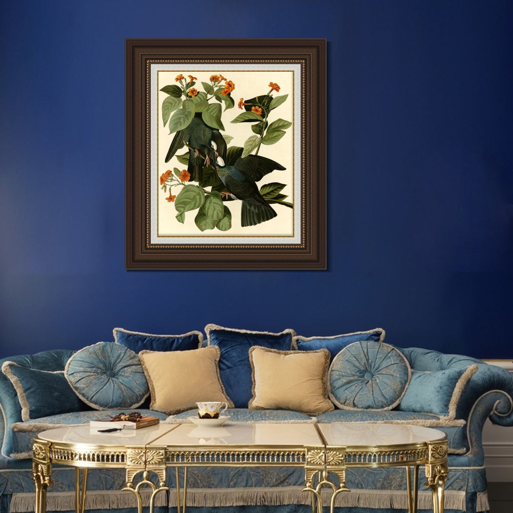 INVIN ART Framed Canvas Art Giclee Print Series#081 by John James Audubon  Home Office Wall Art Decorations