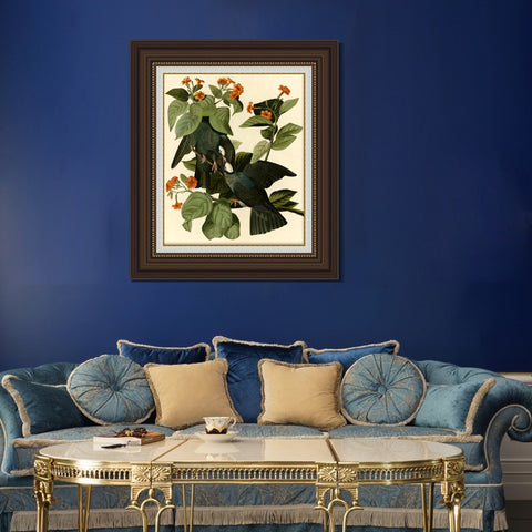 INVIN ART Framed Canvas Art Giclee Print Series#081 by John James Audubon Living Room Home Office Wall Art Decorations