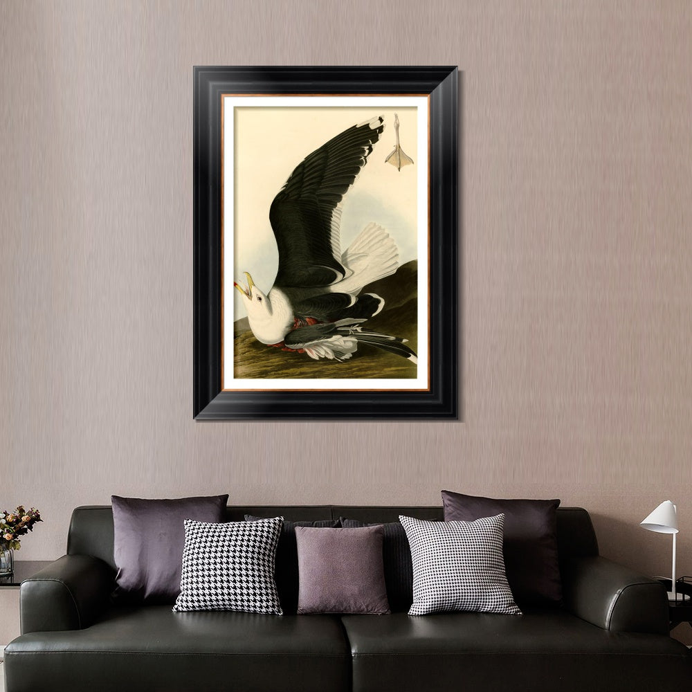 INVIN ART Framed Canvas Art Giclee Print Black Backed Gull by John James Audubon  Home Office Wall Art Decorations