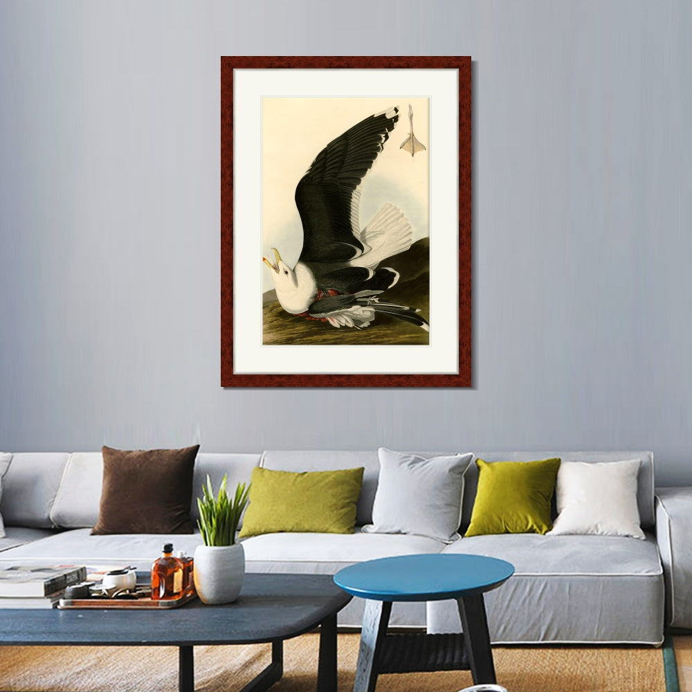 INVIN ART Framed Canvas Art Giclee Print Black Backed Gull by John James Audubon  Home Office Wall Art Decorations