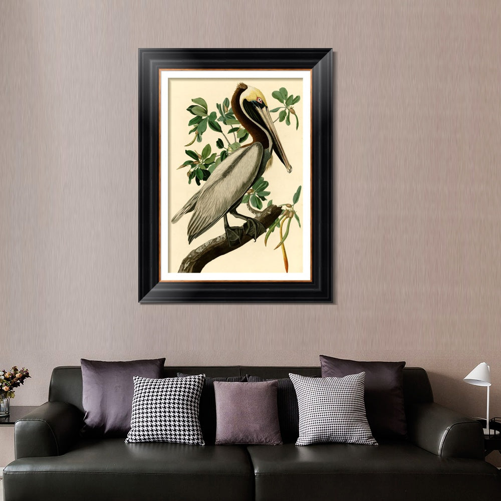 INVIN ART Framed Canvas Art Giclee Print Brown Pelican by John James Audubon  Home Office Wall Art Decorations