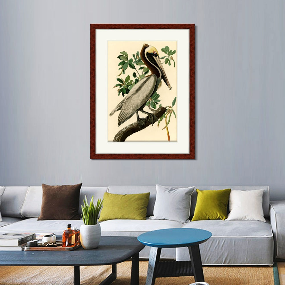 INVIN ART Framed Canvas Art Giclee Print Brown Pelican by John James Audubon  Home Office Wall Art Decorations