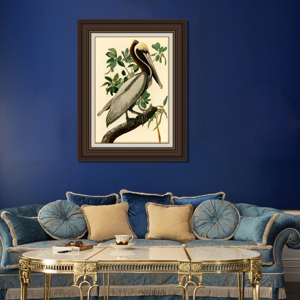 INVIN ART Framed Canvas Art Giclee Print Brown Pelican by John James Audubon  Home Office Wall Art Decorations