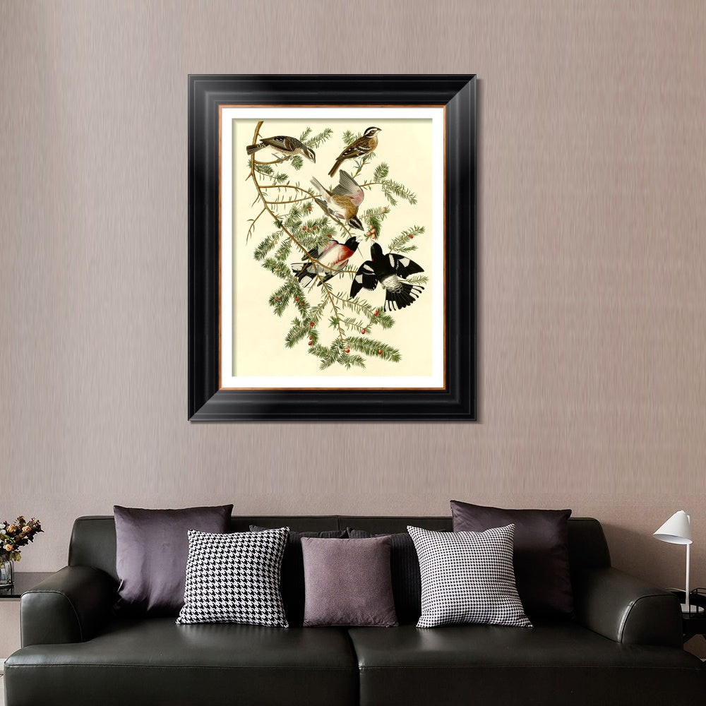 INVIN ART Framed Canvas Art Giclee Print Rose Breasted Grosbeak by John James Audubon  Home Office Wall Art Decorations