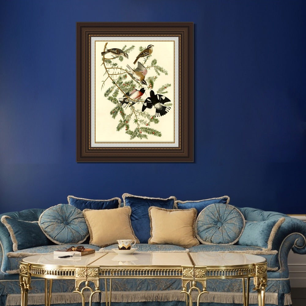 INVIN ART Framed Canvas Art Giclee Print Rose Breasted Grosbeak by John James Audubon  Home Office Wall Art Decorations