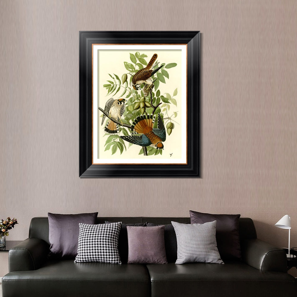 INVIN ART Framed Canvas Art Giclee Print Series#87 by John James Audubon  Home Office Wall Art Decorations