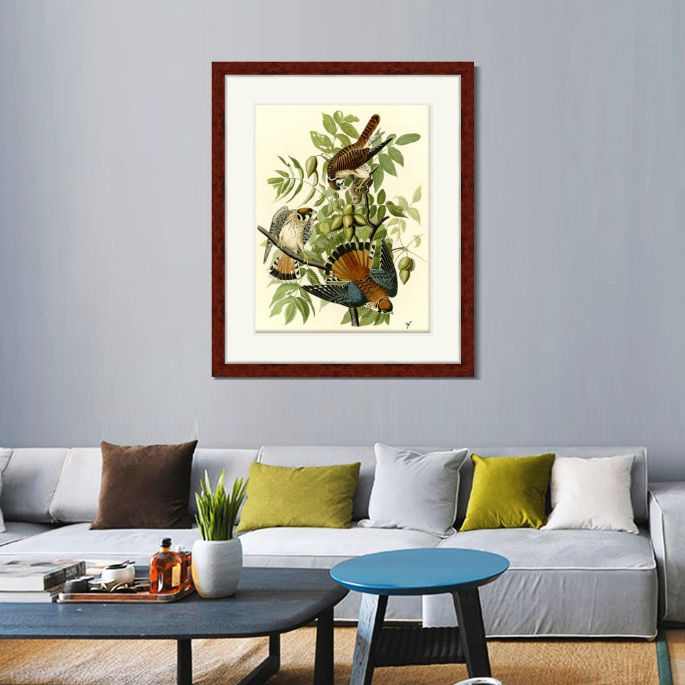 INVIN ART Framed Canvas Art Giclee Print Series#87 by John James Audubon  Home Office Wall Art Decorations