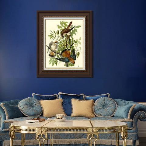 INVIN ART Framed Canvas Art Giclee Print Series#87 by John James Audubon Living Room Home Office Wall Art Decorations