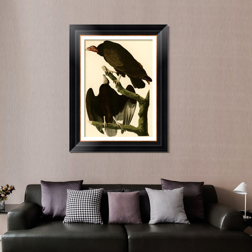 INVIN ART Framed Canvas Art Giclee Print Turkey Buzzard by John James Audubon  Home Office Wall Art Decorations