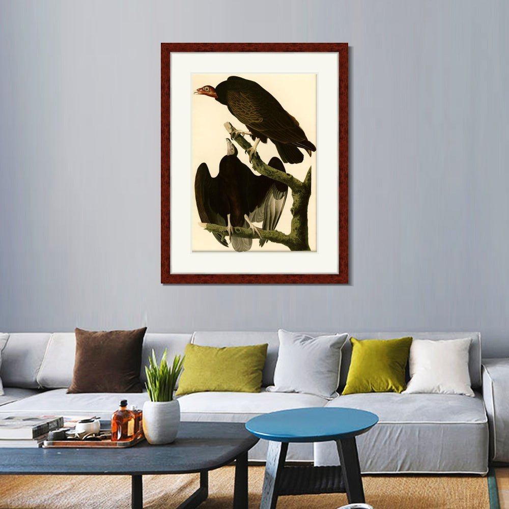 INVIN ART Framed Canvas Art Giclee Print Turkey Buzzard by John James Audubon  Home Office Wall Art Decorations