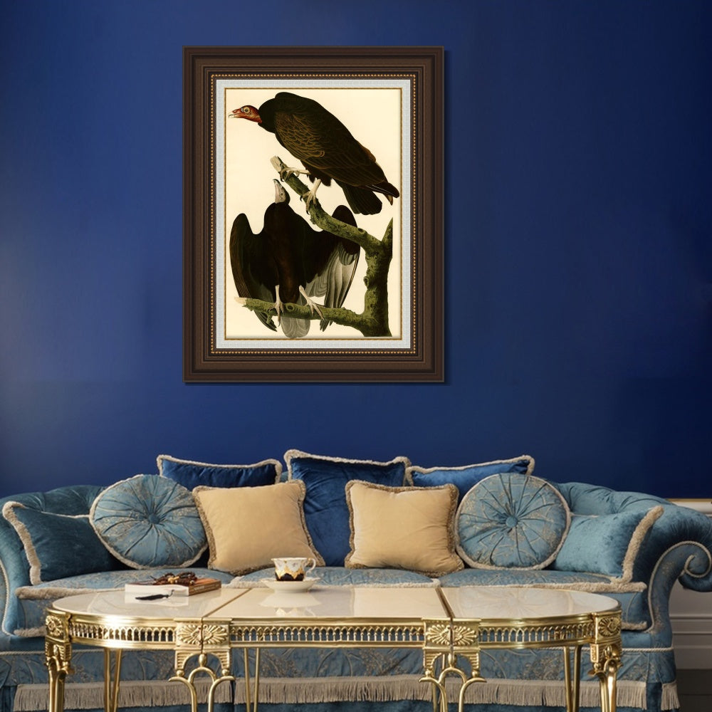 INVIN ART Framed Canvas Art Giclee Print Turkey Buzzard by John James Audubon  Home Office Wall Art Decorations