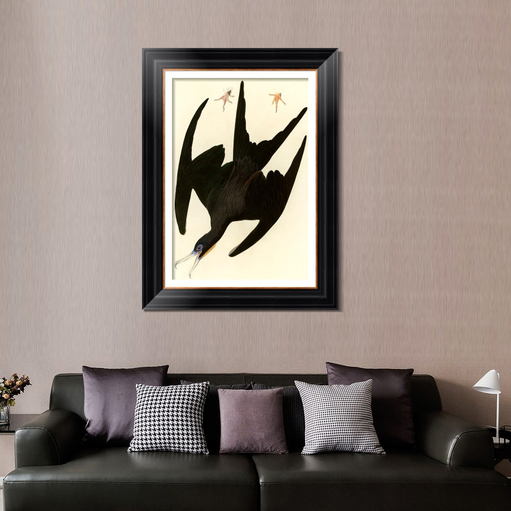INVIN ART Framed Canvas Art Giclee Print Frigate Pelican by John James Audubon  Home Office Wall Art Decorations