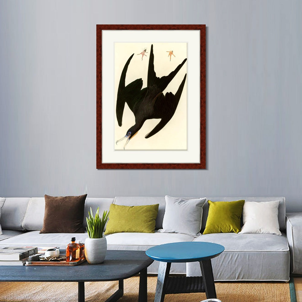 INVIN ART Framed Canvas Art Giclee Print Frigate Pelican by John James Audubon  Home Office Wall Art Decorations