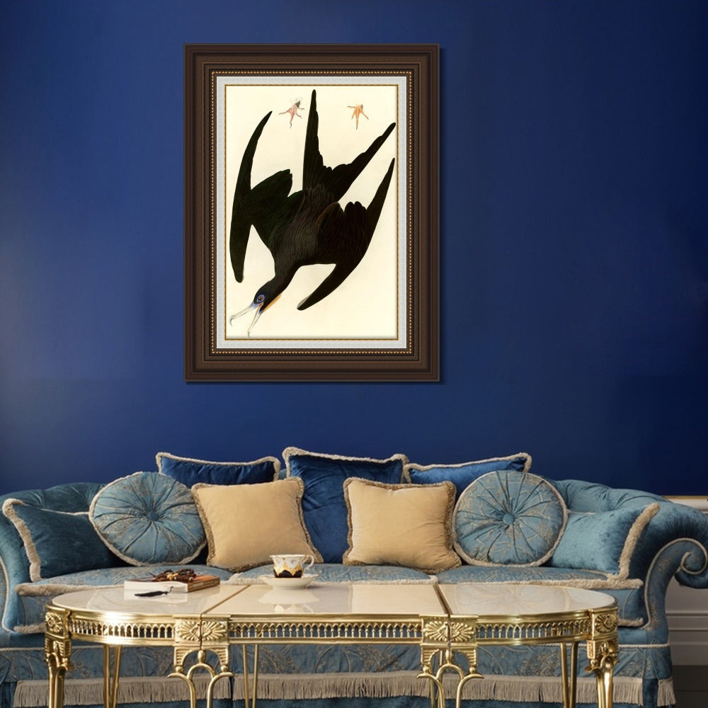 INVIN ART Framed Canvas Art Giclee Print Frigate Pelican by John James Audubon  Home Office Wall Art Decorations