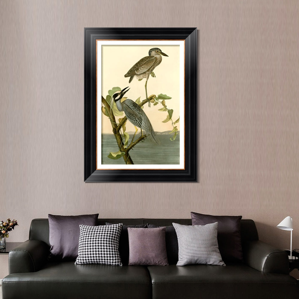 INVIN ART Framed Canvas Art Giclee Print Series#092 by John James Audubon  Home Office Wall Art Decorations