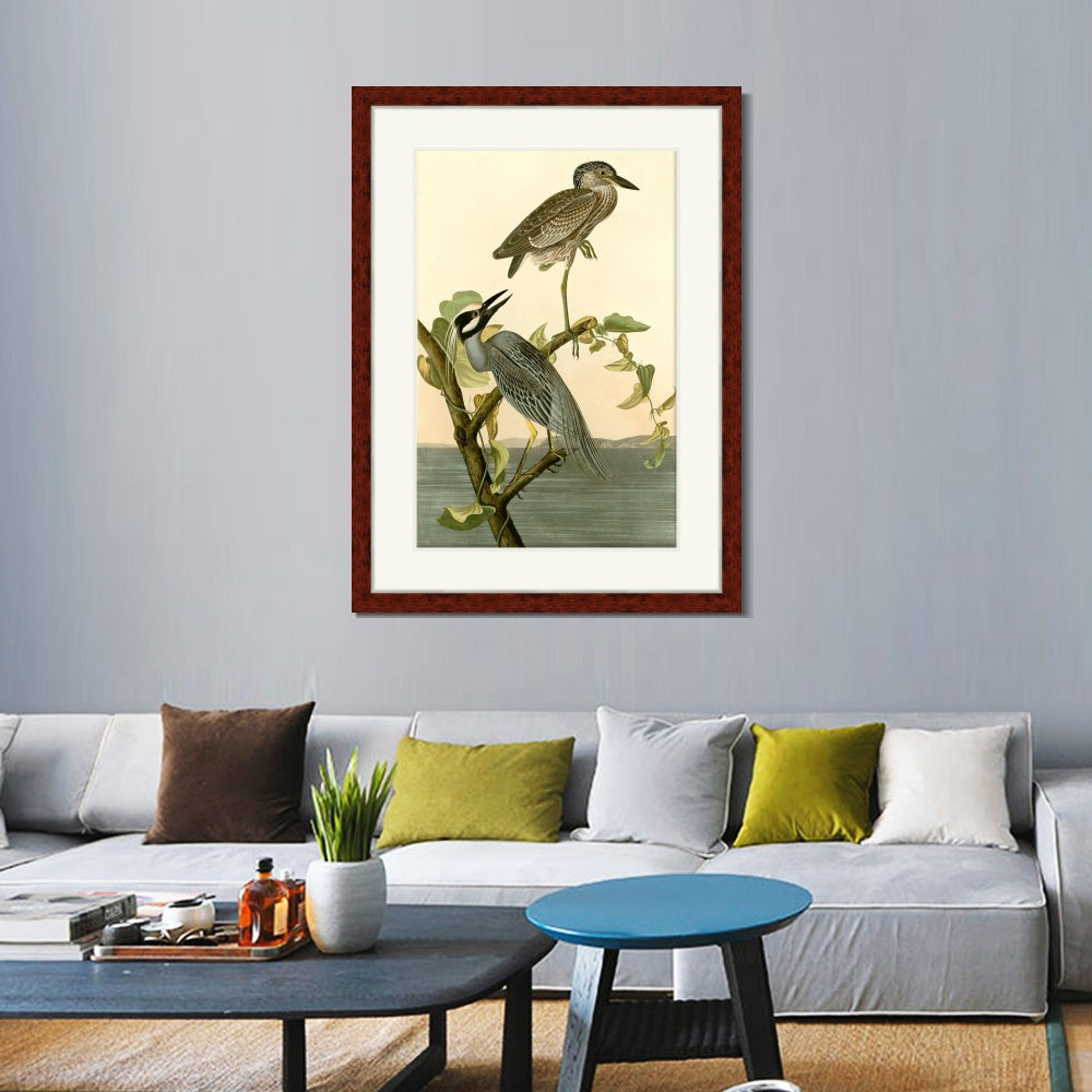 INVIN ART Framed Canvas Art Giclee Print Series#092 by John James Audubon  Home Office Wall Art Decorations