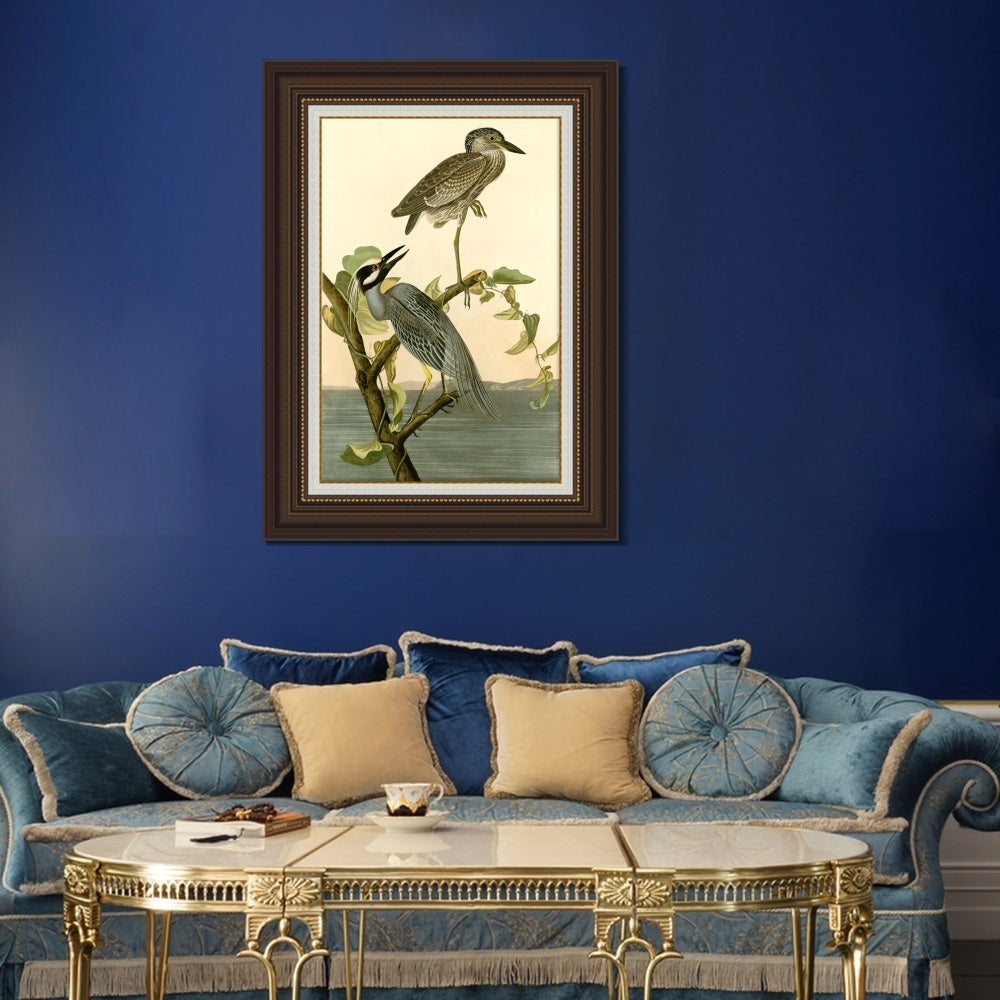INVIN ART Framed Canvas Art Giclee Print Series#092 by John James Audubon  Home Office Wall Art Decorations