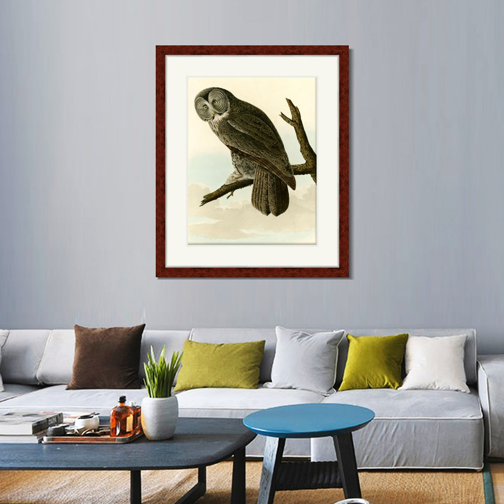 INVIN ART Framed Canvas Art Giclee Print Great Cinereous Owl by John James Audubon  Home Office Wall Art Decorations