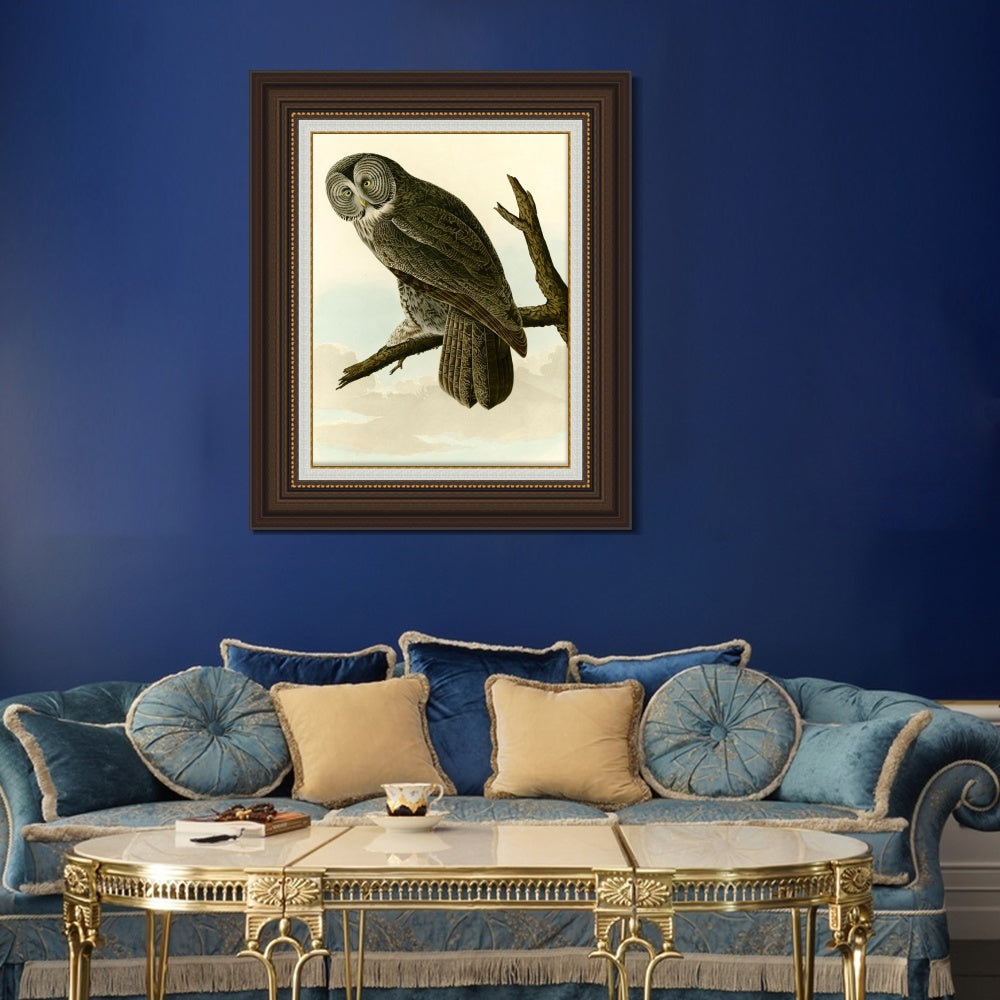 INVIN ART Framed Canvas Art Giclee Print Great Cinereous Owl by John James Audubon  Home Office Wall Art Decorations