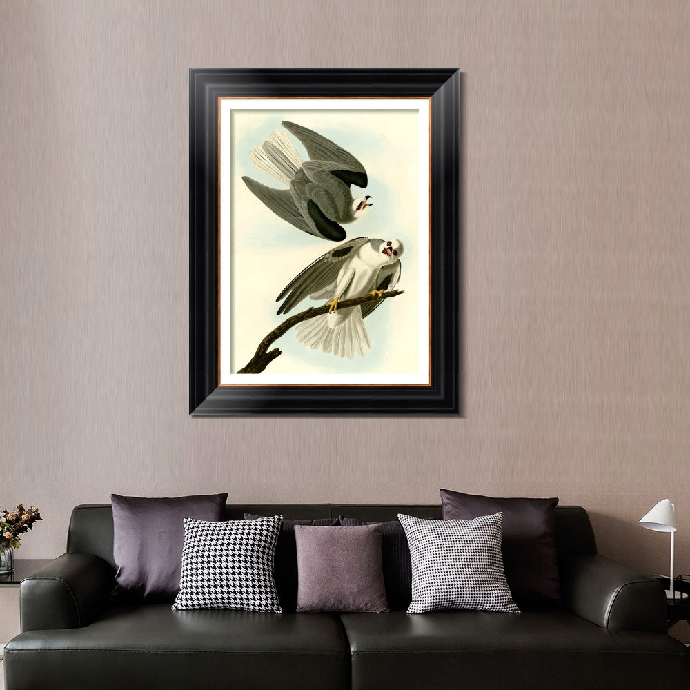 INVIN ART Framed Canvas Art Giclee Print Black Winged Hawk by John James Audubon  Home Office Wall Art Decorations