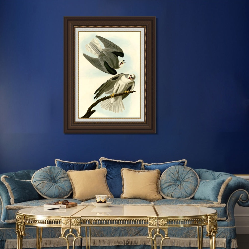 INVIN ART Framed Canvas Art Giclee Print Black Winged Hawk by John James Audubon  Home Office Wall Art Decorations