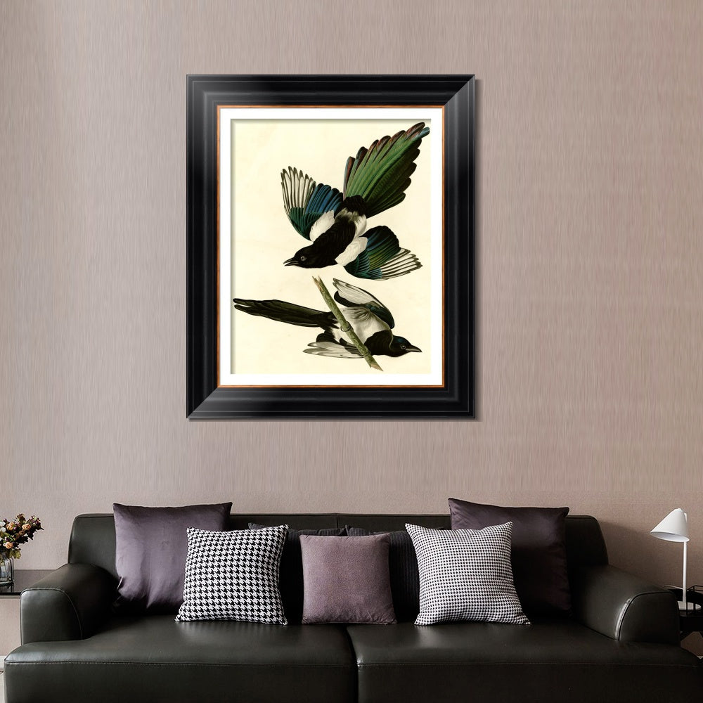 INVIN ART Framed Canvas Art Giclee Print American Magpie by John James Audubon  Home Office Wall Art Decorations