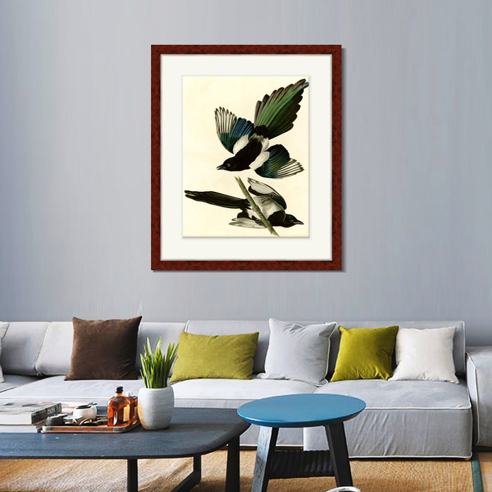 INVIN ART Framed Canvas Art Giclee Print American Magpie by John James Audubon  Home Office Wall Art Decorations