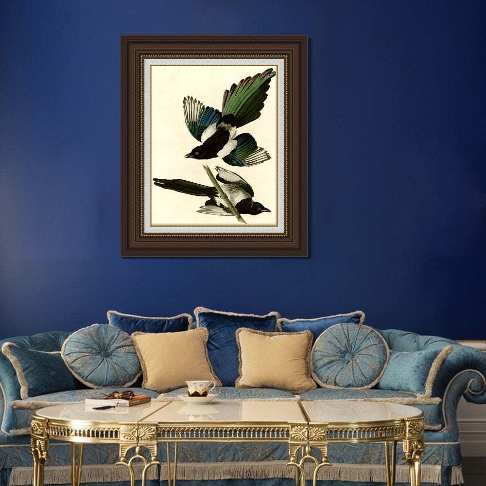 INVIN ART Framed Canvas Art Giclee Print American Magpie by John James Audubon  Home Office Wall Art Decorations