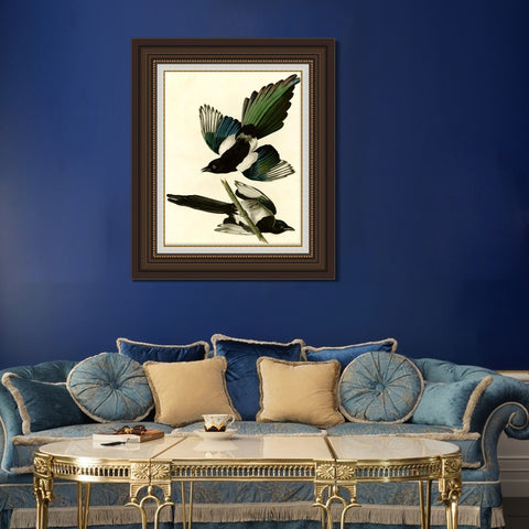 INVIN ART Framed Canvas Art Giclee Print American Magpie by John James Audubon Living Room Home Office Wall Art Decorations