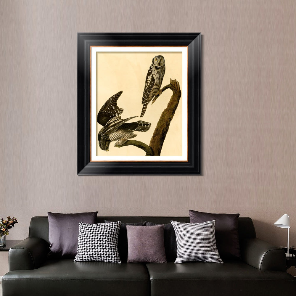 INVIN ART Framed Canvas Art Giclee Print Hawk Owl by John James Audubon  Home Office Wall Art Decorations