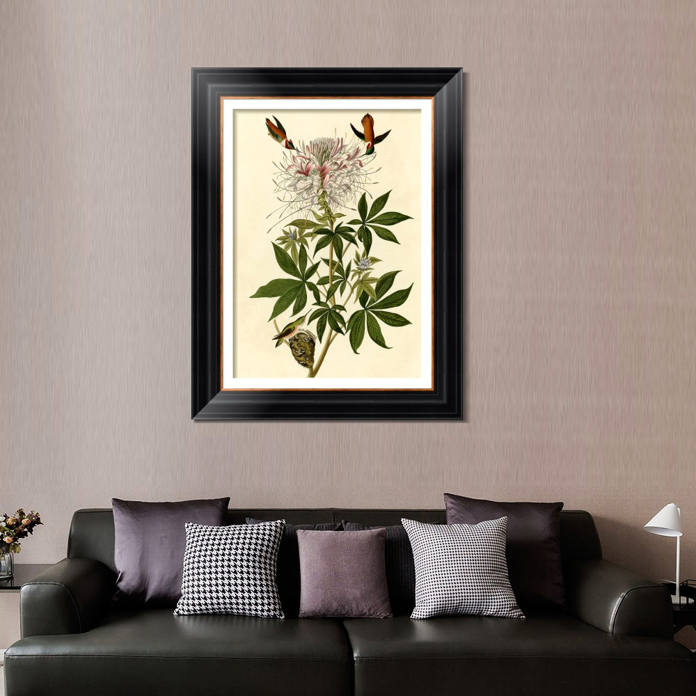 INVIN ART Framed Canvas Art Giclee Print Ruff necked Humming bird by John James Audubon  Home Office Wall Art Decorations