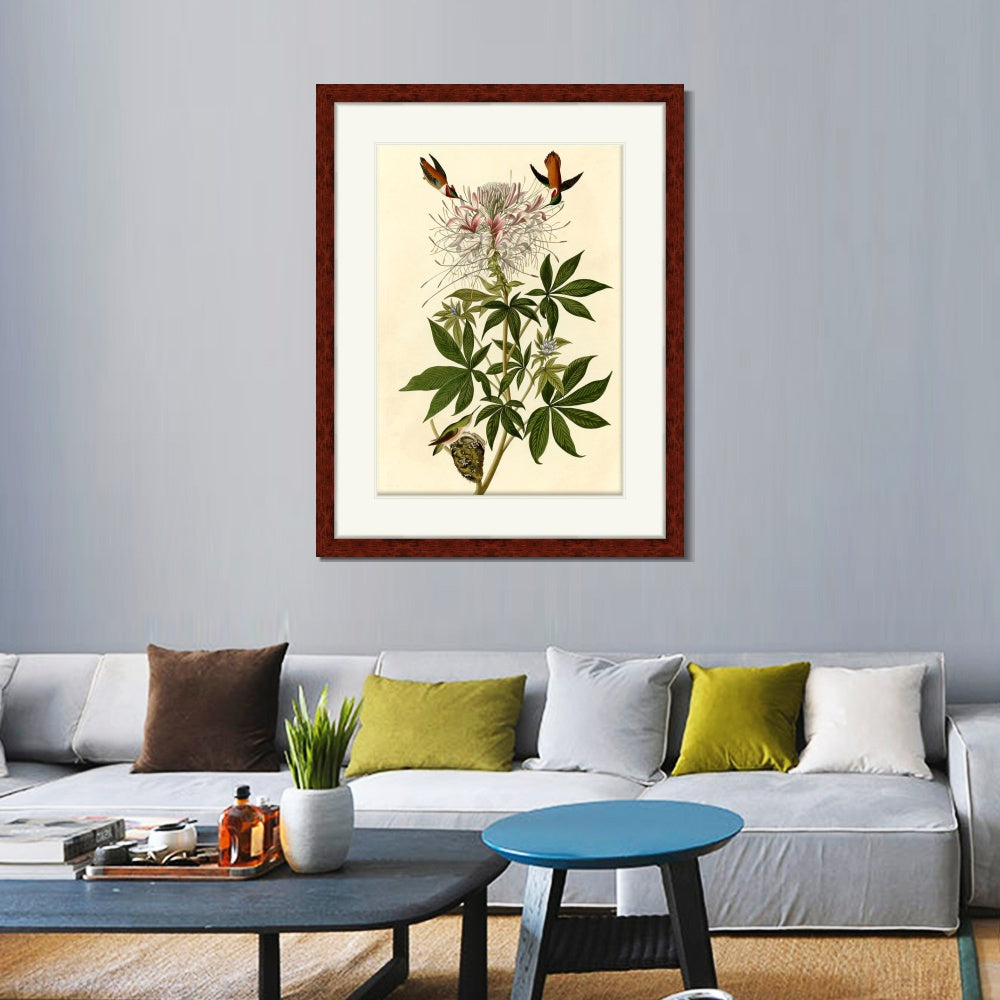 INVIN ART Framed Canvas Art Giclee Print Ruff necked Humming bird by John James Audubon  Home Office Wall Art Decorations