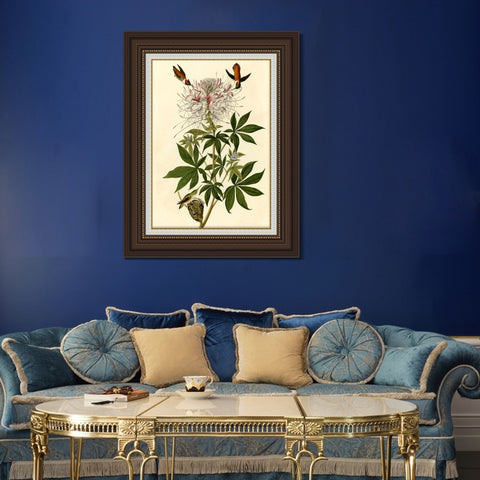 INVIN ART Framed Canvas Art Giclee Print Ruff necked Humming bird by John James Audubon Living Room Home Office Wall Art Decorations