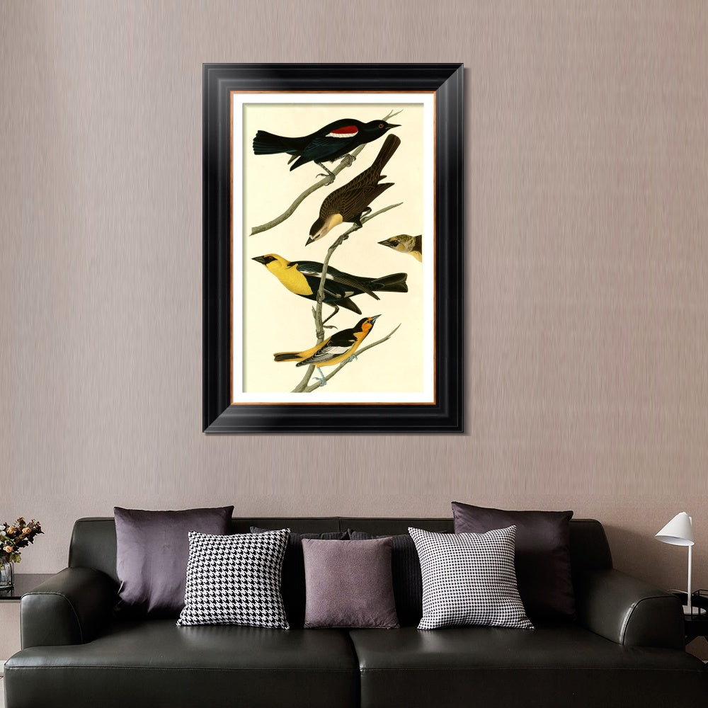 INVIN ART Framed Canvas Art Giclee Print Yellow headed Troopial by John James Audubon  Home Office Wall Art Decorations