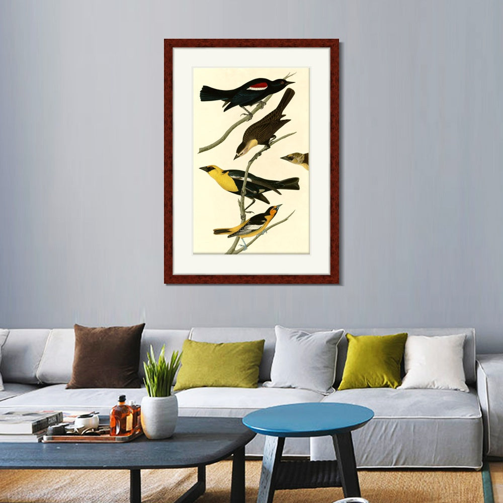 INVIN ART Framed Canvas Art Giclee Print Yellow headed Troopial by John James Audubon  Home Office Wall Art Decorations