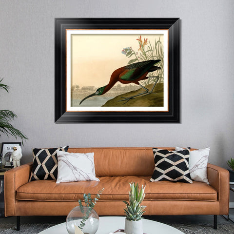 INVIN ART Framed Canvas Art Giclee Print Glossy Ibis by John James Audubon Living Room Home Office Wall Art Decorations