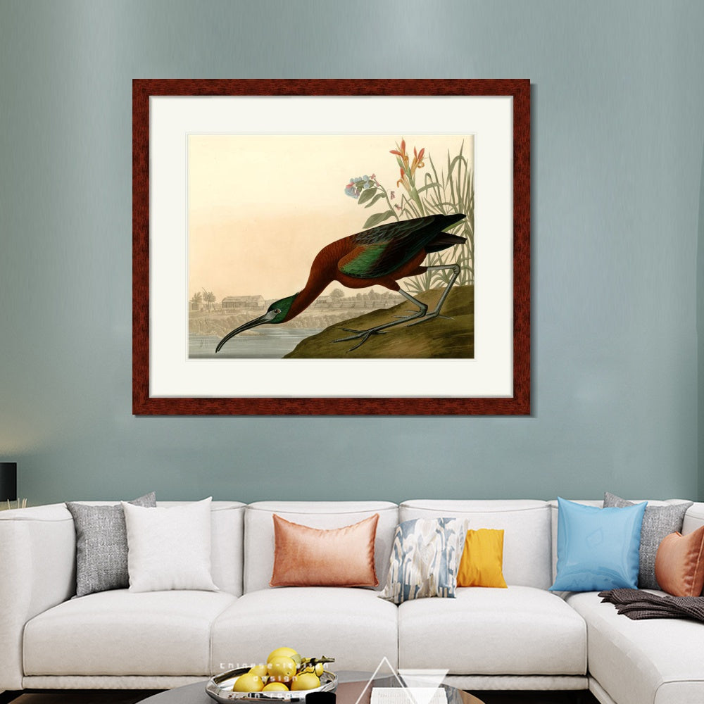 INVIN ART Framed Canvas Art Giclee Print Glossy Ibis by John James Audubon  Home Office Wall Art Decorations