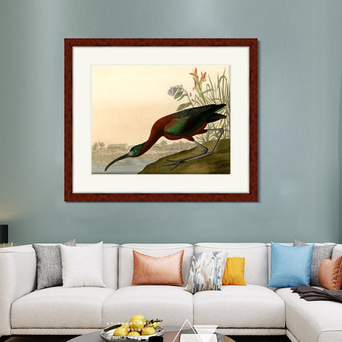 INVIN ART Framed Canvas Art Giclee Print Glossy Ibis by John James Audubon Living Room Home Office Wall Art Decorations
