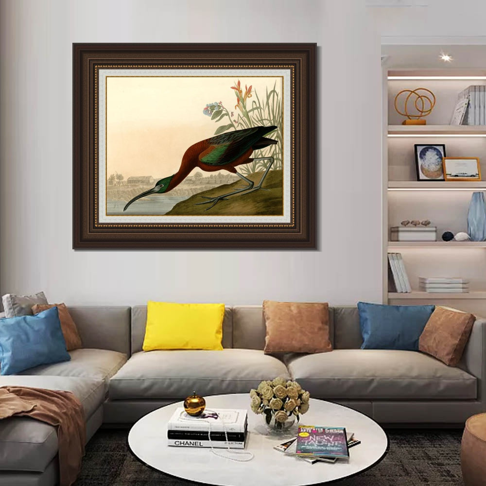 INVIN ART Framed Canvas Art Giclee Print Glossy Ibis by John James Audubon  Home Office Wall Art Decorations