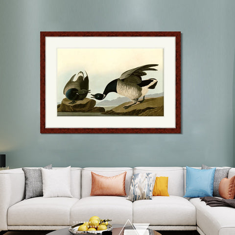 INVIN ART Framed Canvas Art Giclee Print Series#105 by John James Audubon Living Room Home Office Wall Art Decorations