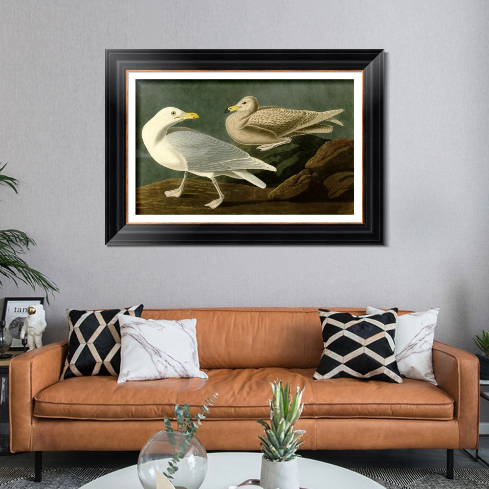 INVIN ART Framed Canvas Art Giclee Print Burgomaster Gull by John James Audubon  Home Office Wall Art Decorations