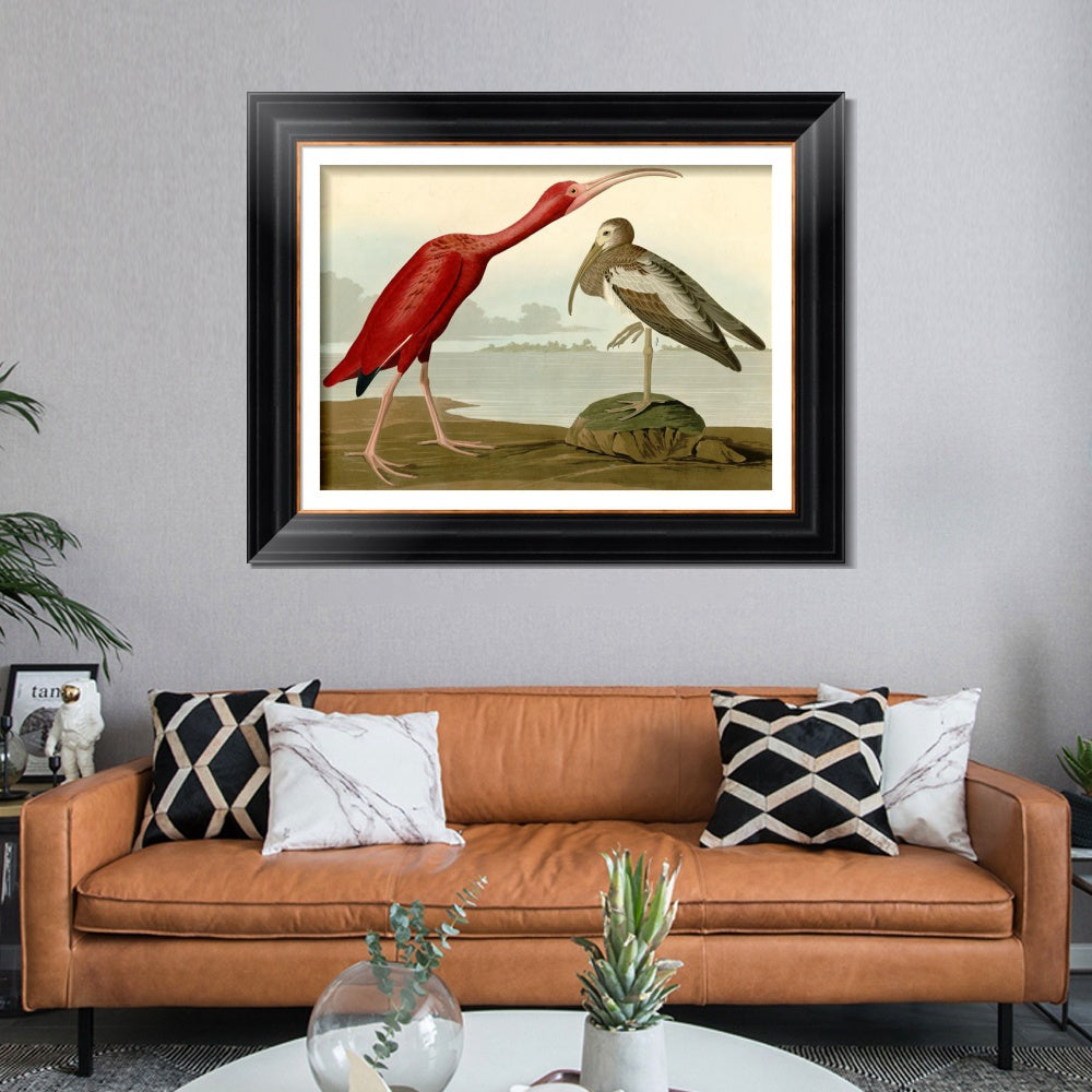 INVIN ART Framed Canvas Art Giclee Print Scarlet Ibis by John James Audubon  Home Office Wall Art Decorations