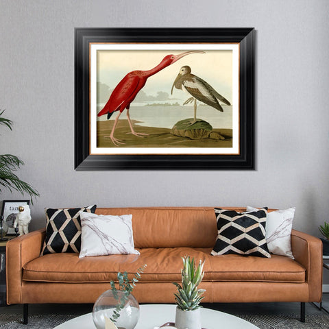 INVIN ART Framed Canvas Art Giclee Print Scarlet Ibis by John James Audubon Living Room Home Office Wall Art Decorations