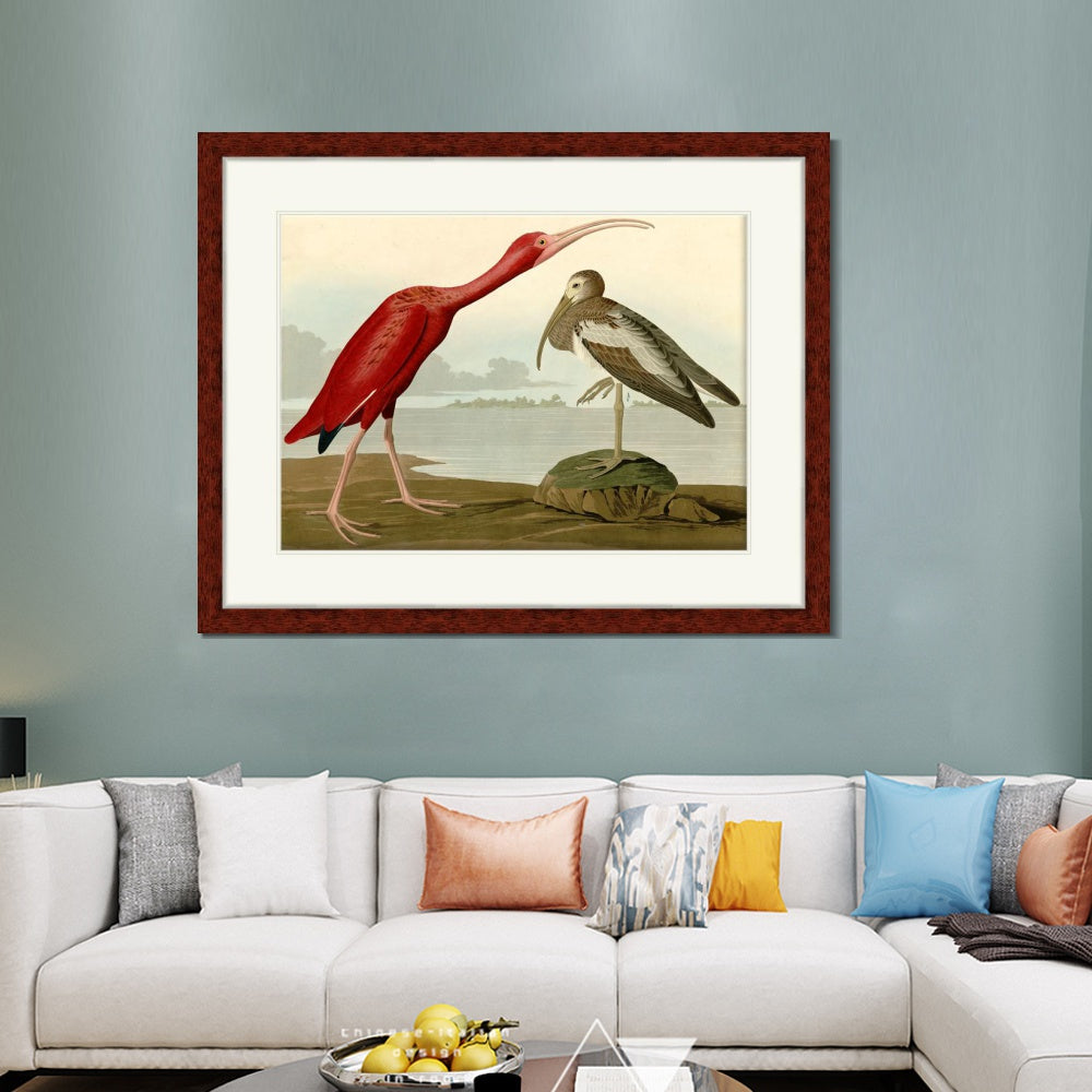 INVIN ART Framed Canvas Art Giclee Print Scarlet Ibis by John James Audubon  Home Office Wall Art Decorations