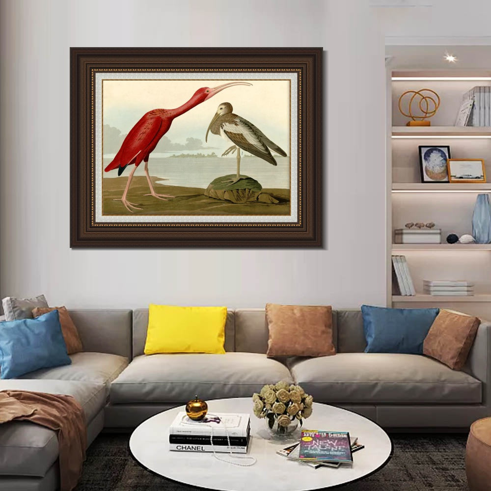 INVIN ART Framed Canvas Art Giclee Print Scarlet Ibis by John James Audubon  Home Office Wall Art Decorations