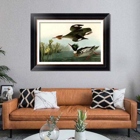 INVIN ART Framed Canvas Art Giclee Print Red breasted Merganser by John James Audubon Living Room Home Office Wall Art Decorations