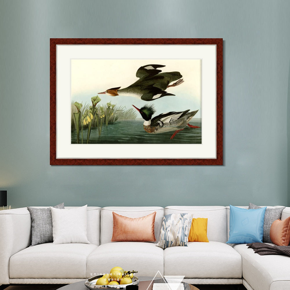 INVIN ART Framed Canvas Art Giclee Print Red breasted Merganser by John James Audubon  Home Office Wall Art Decorations