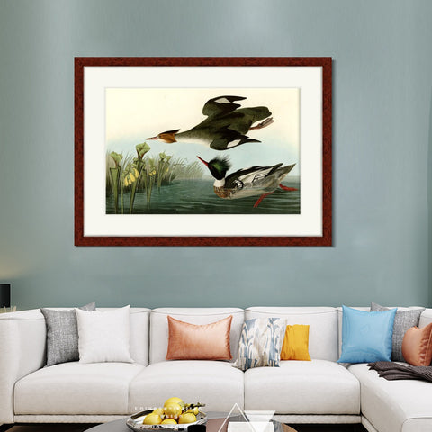 INVIN ART Framed Canvas Art Giclee Print Red breasted Merganser by John James Audubon Living Room Home Office Wall Art Decorations