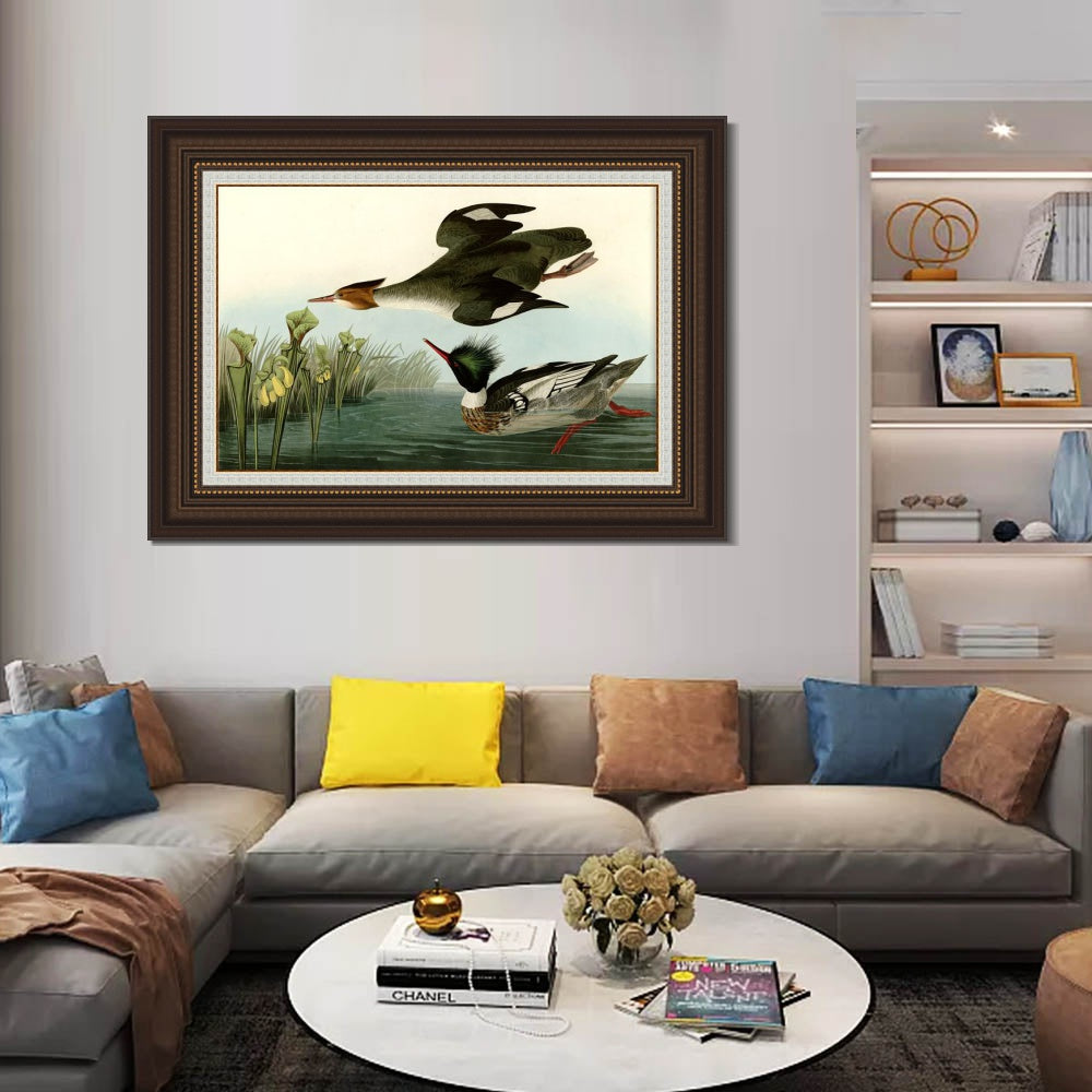 INVIN ART Framed Canvas Art Giclee Print Red breasted Merganser by John James Audubon  Home Office Wall Art Decorations